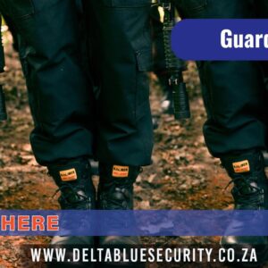 Delta Blue Security – We Are Here